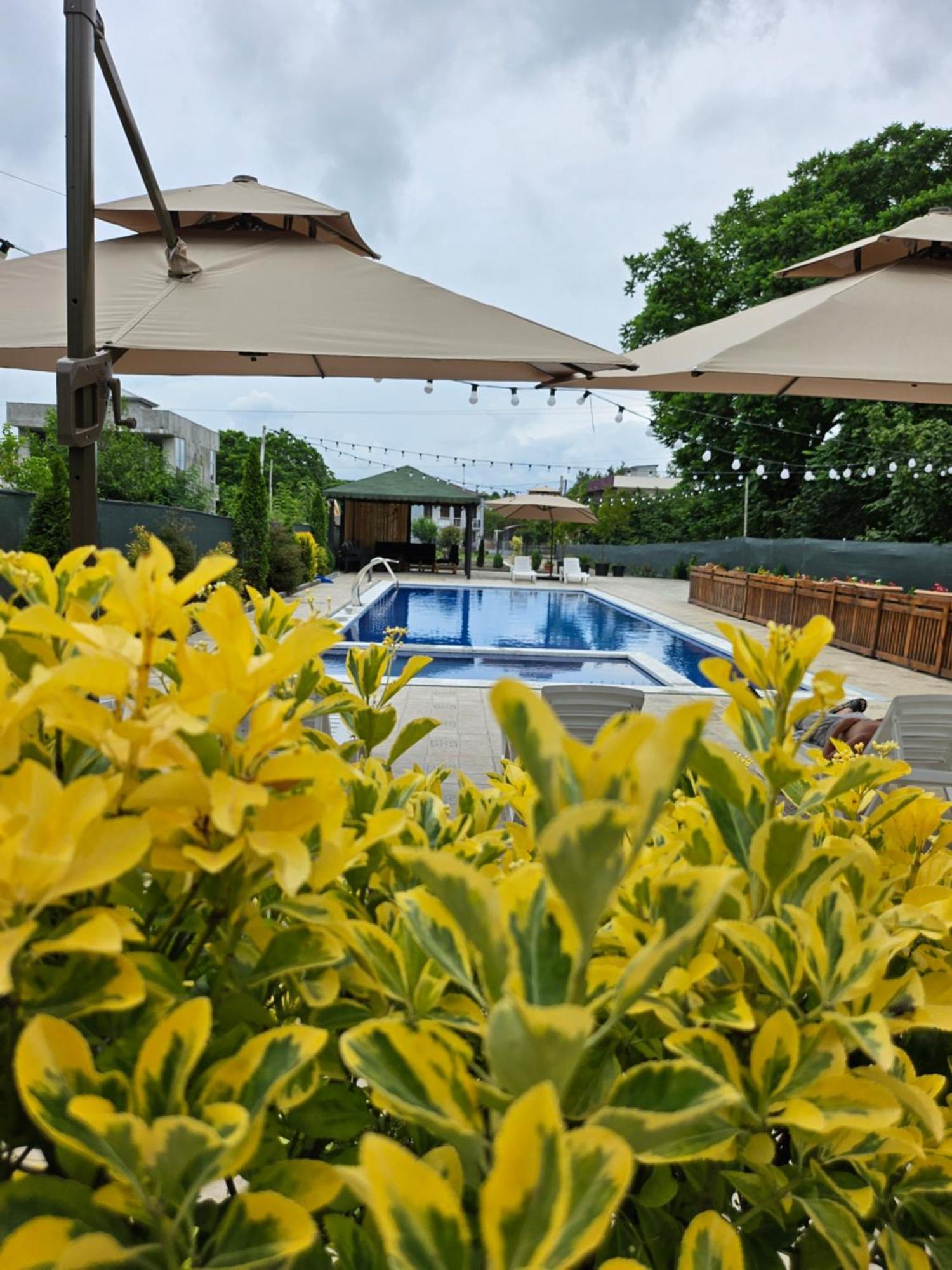 Green Terrace コブレチ エクステリア 写真