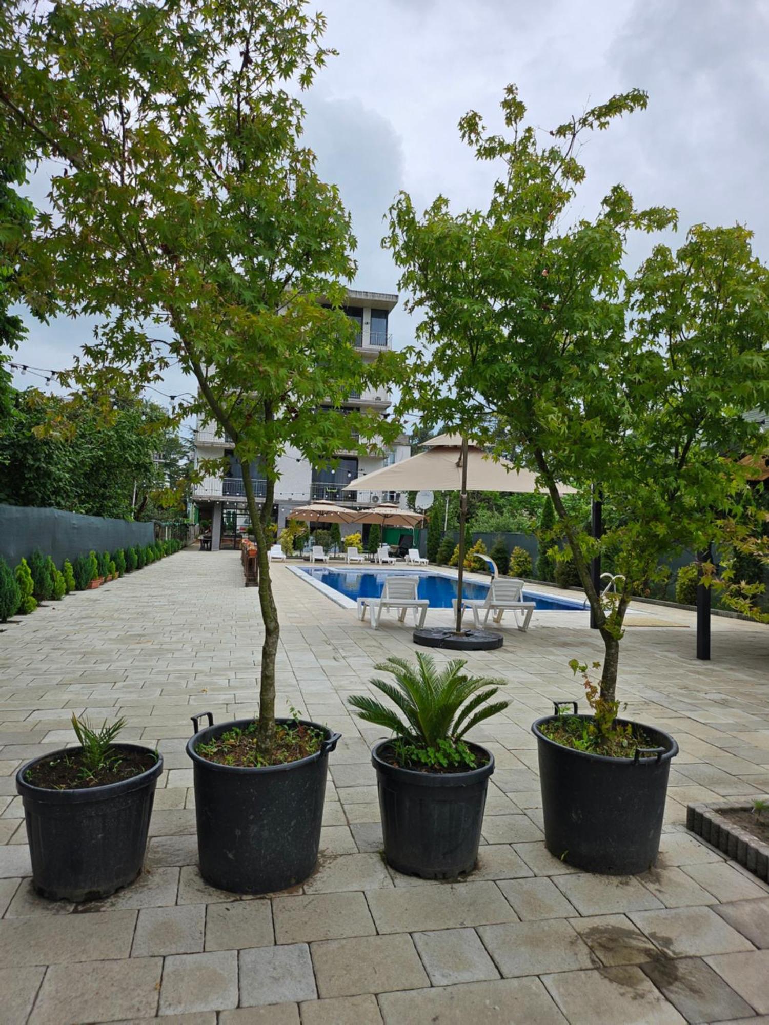 Green Terrace コブレチ エクステリア 写真