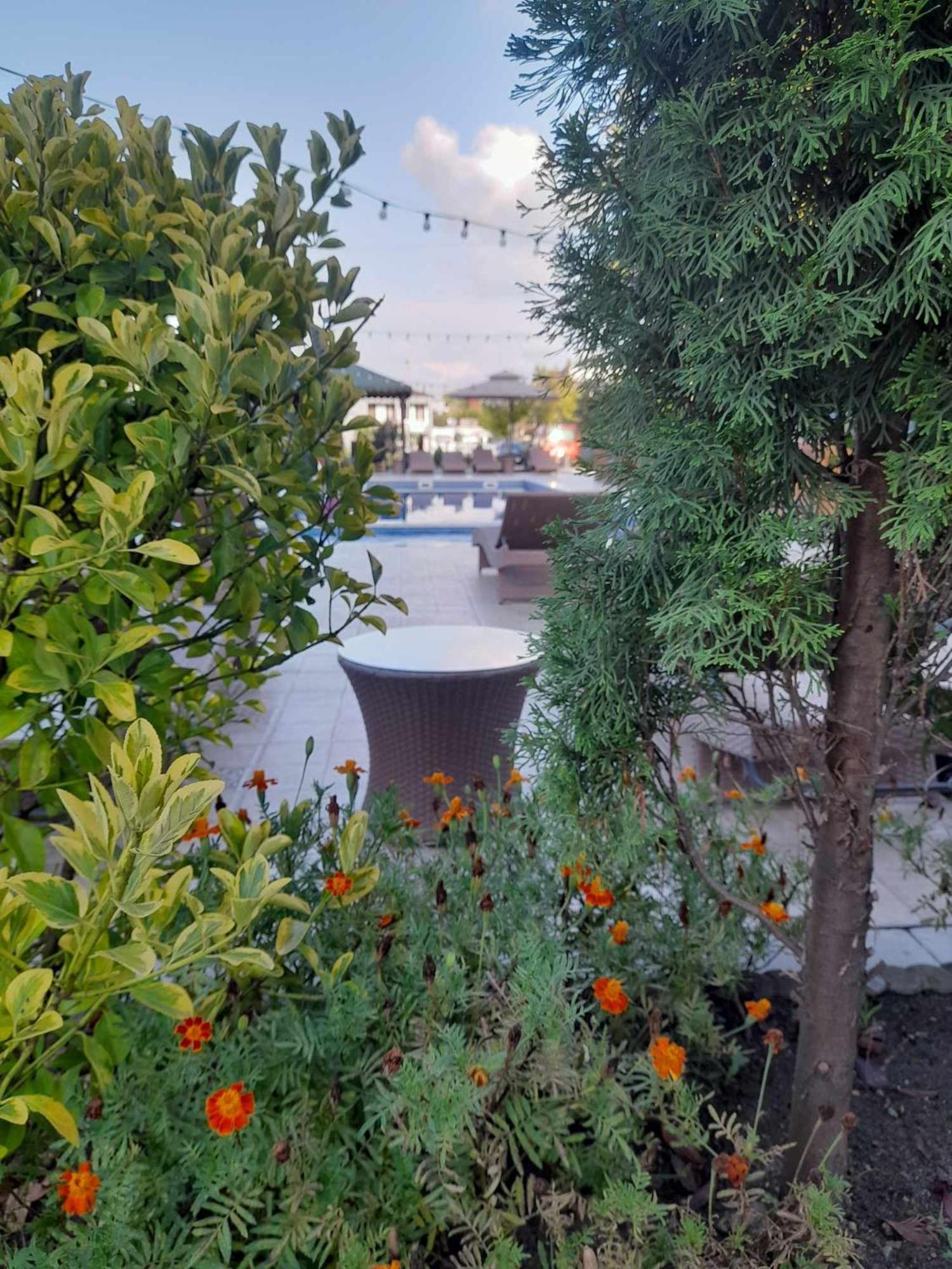 Green Terrace コブレチ エクステリア 写真